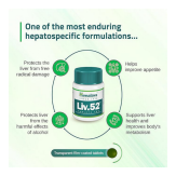 Himalaya Liv.52 Tablets - 100 Counts (Pack of 2) - Image 3