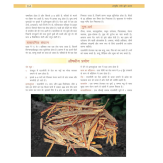 Ayurved Jadi Buti Rahasya- 1 अप्रैल 2017 - Image 2